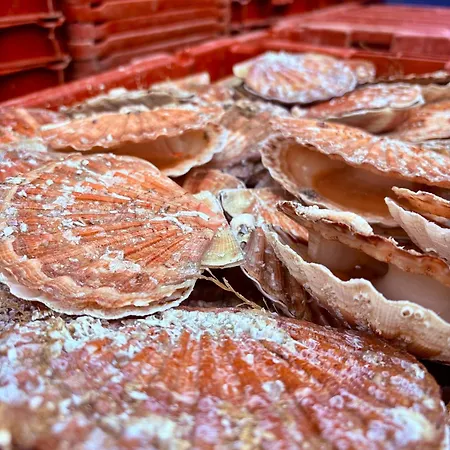 La Leontine 3* Abbeville