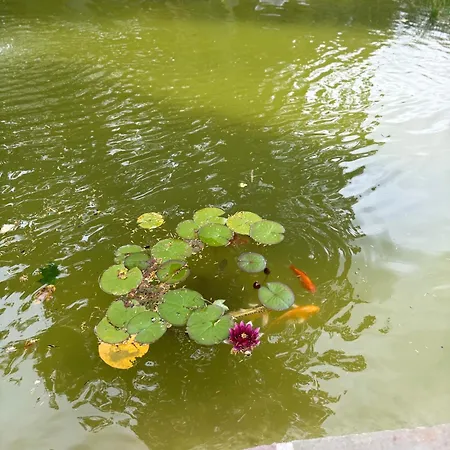 Bed & Breakfast La Leontine 3*