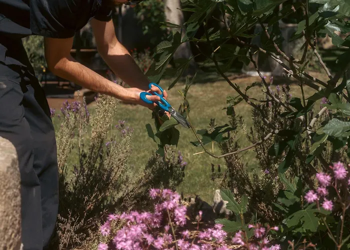 Bed & Breakfast La Leontine