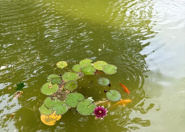 Bed & Breakfast La Leontine 3*